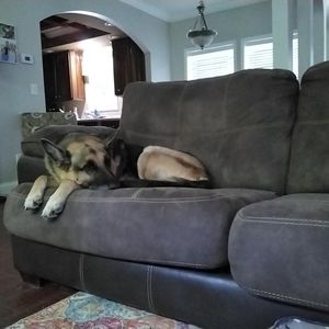 Meet your Posher, Jack